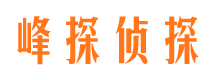 邵东峰探私家侦探公司